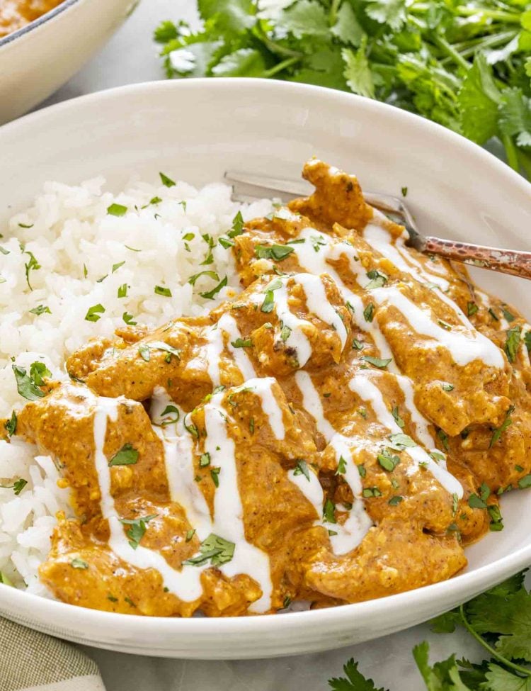 Close-up angled view of chicken korma with white rice, creamy sauce, yogurt drizzle, and cilantro garnish in a white bowl.
