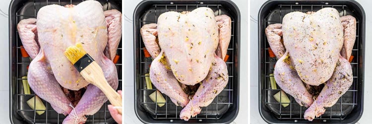 process shots showing how to roast a turkey.