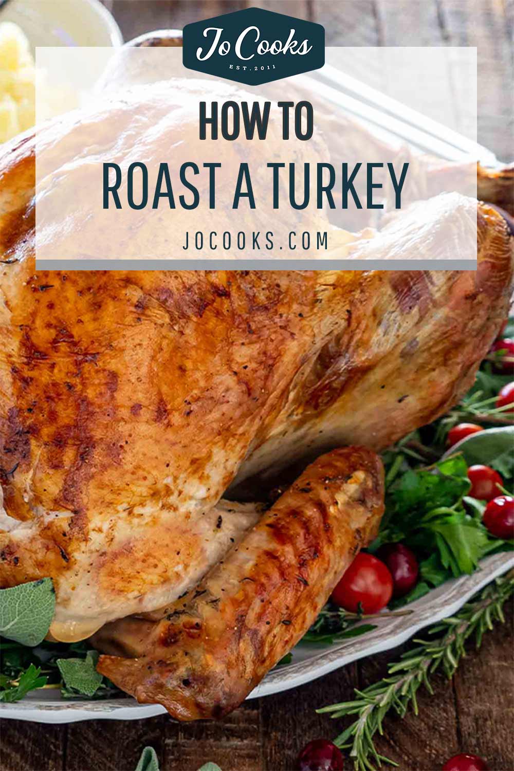 pin for roast turkey.