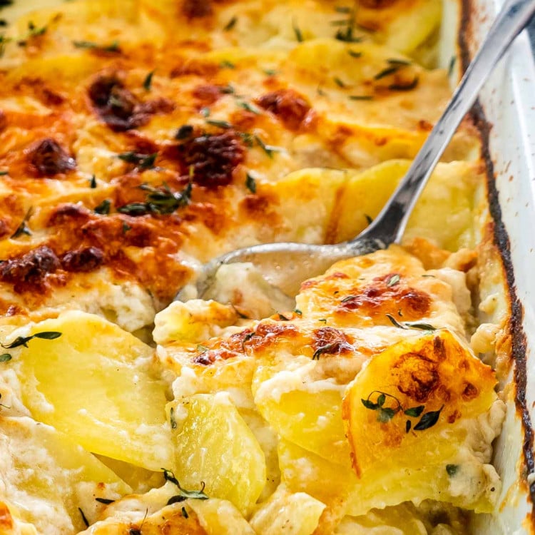 freshly made potatoes au gratin in a casserole dish.