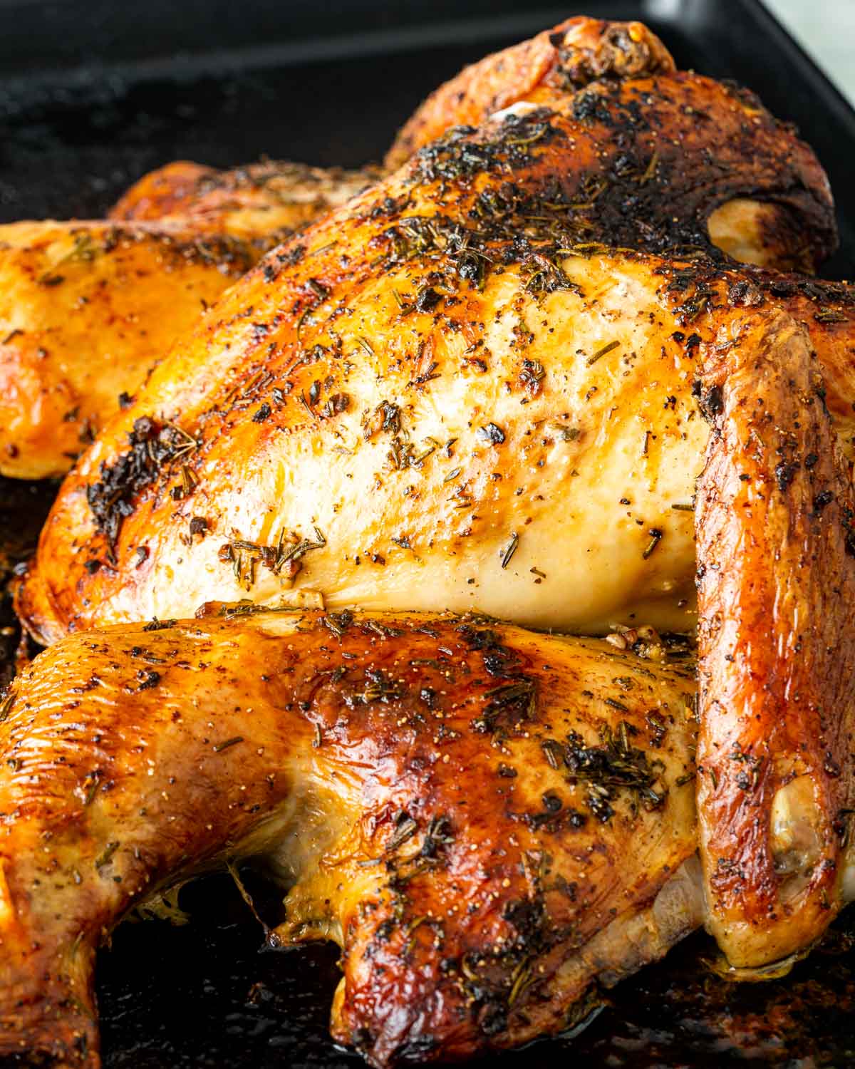 closeup of a spatchcock turkey on a baking sheet.